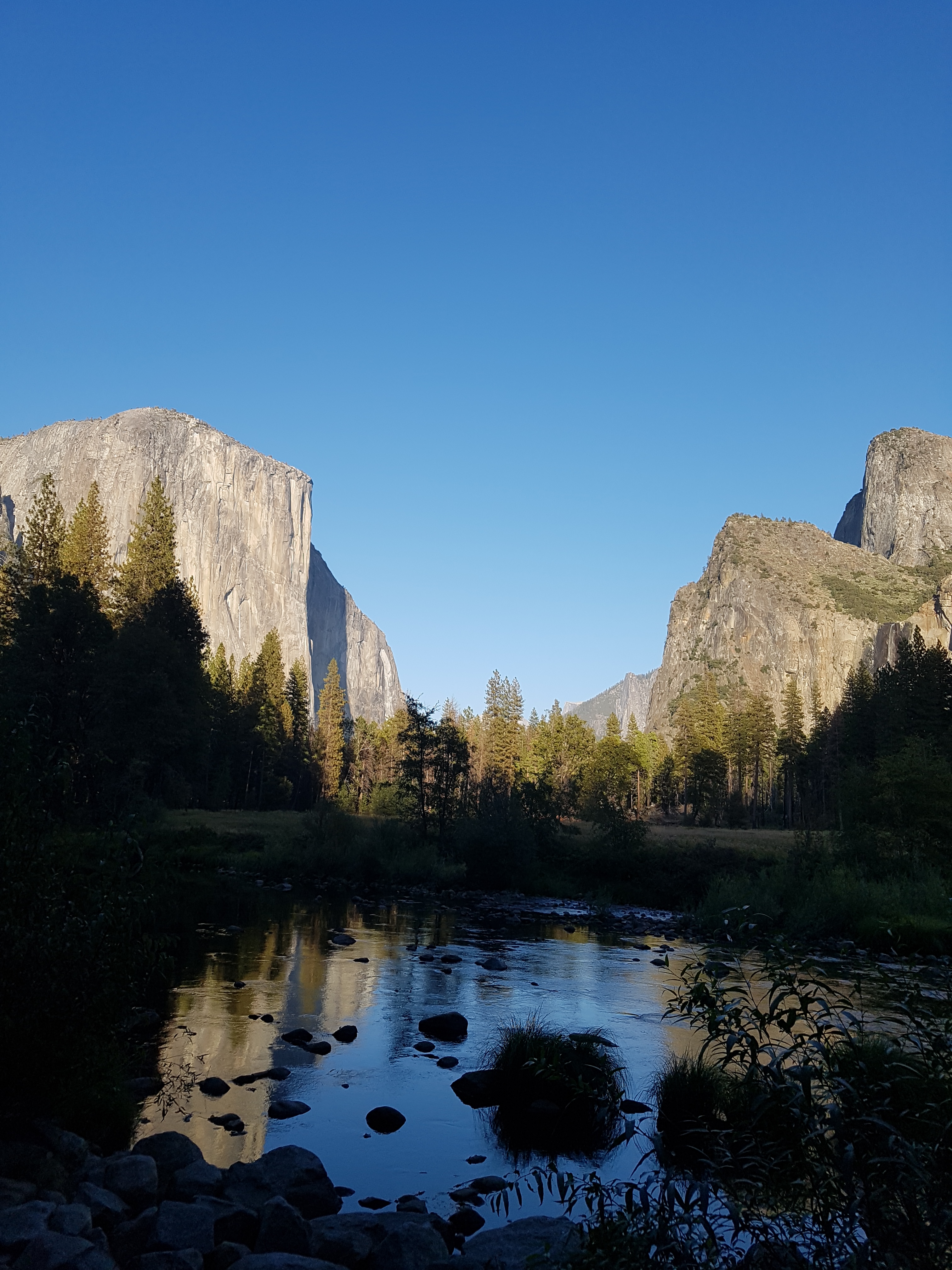 미국 여행을 다녀오며