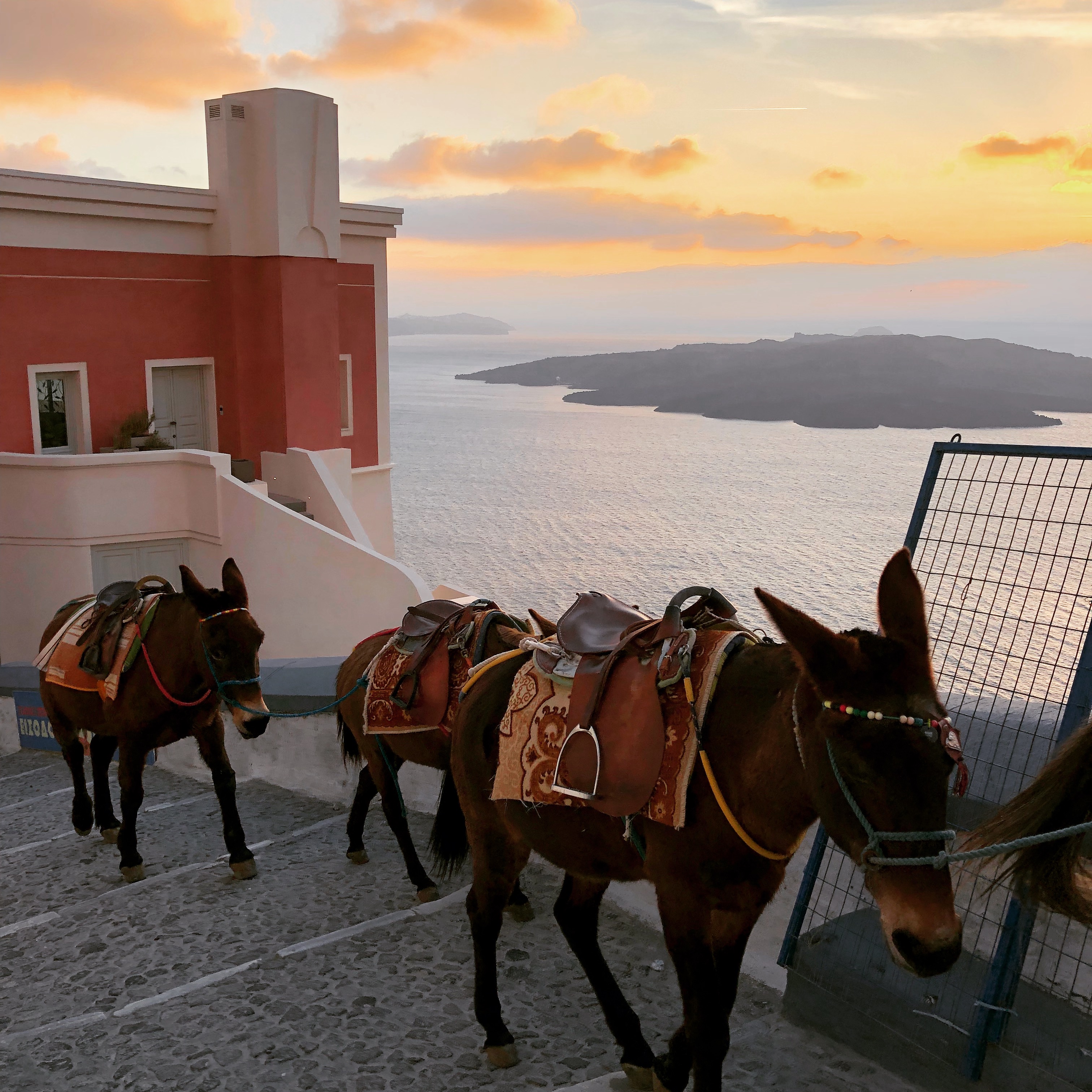 가족과 함께 떠난 비수기 그리스 여행