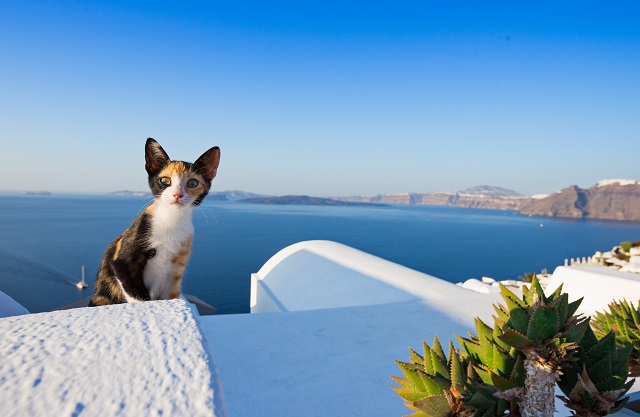 [Santorini:Blue] 아테네/산토리니 6일누구나 꿈꾸는 로맨틱 산토리니_1